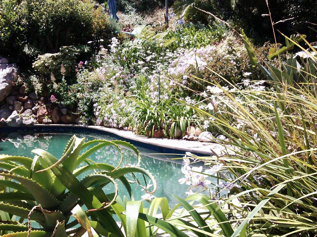 Hout Bay Hideaway Hotell Eksteriør bilde
