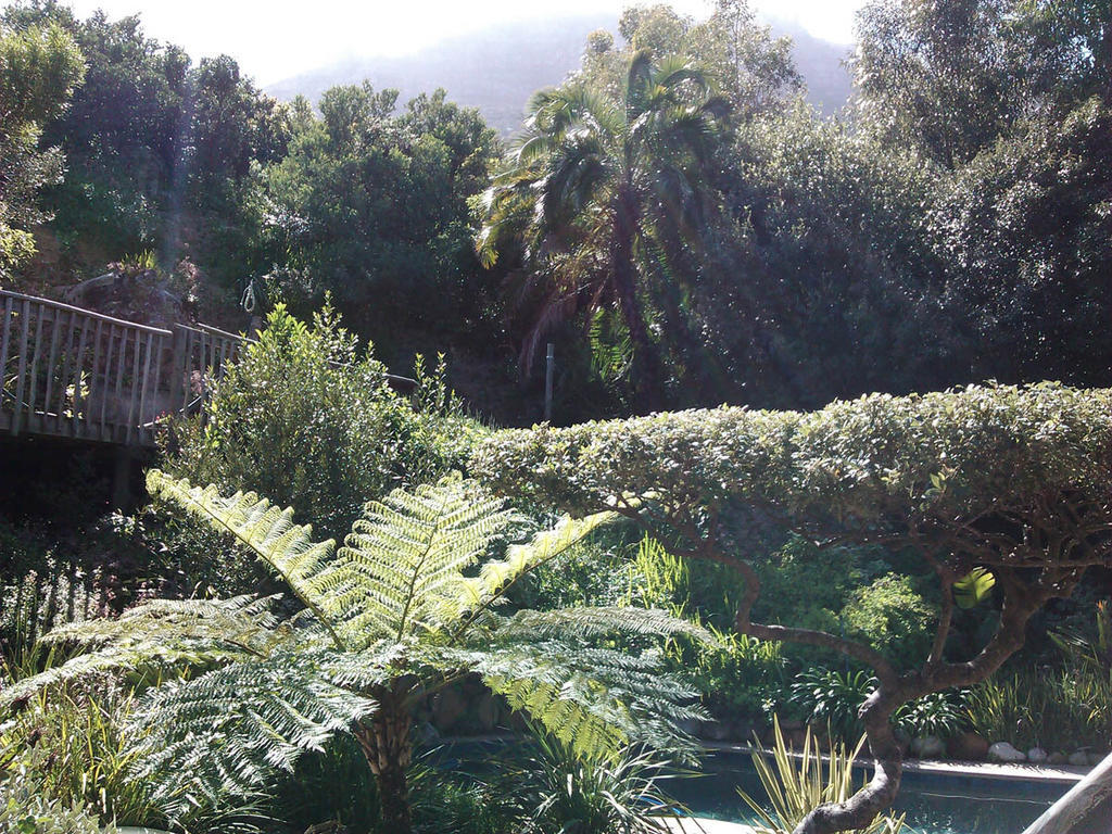 Hout Bay Hideaway Hotell Rom bilde