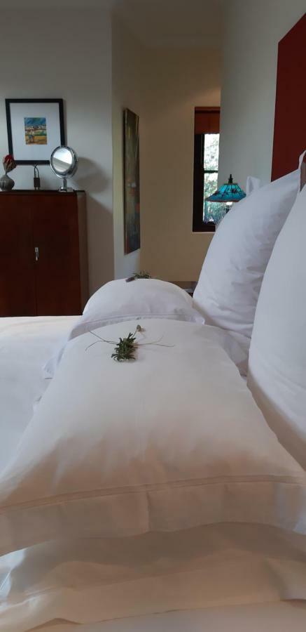 Hout Bay Hideaway Hotell Eksteriør bilde
